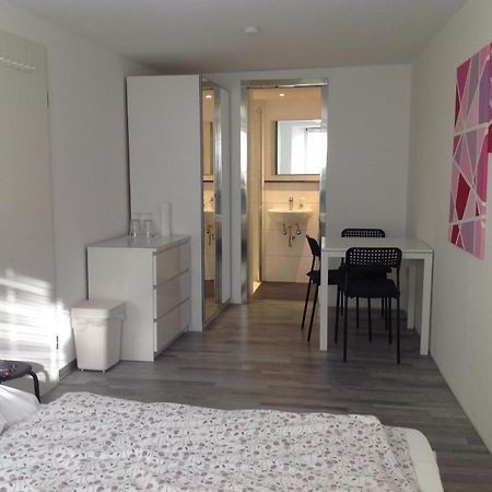 Stadtmitte Ferienwohnung Waldshut Εξωτερικό φωτογραφία